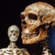 Image for article titled Did We Have Sex With Neanderthals Or Not?